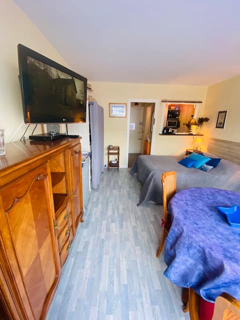 Top performing Airbnb: Studio, Wi-Fi, downtown, close to the SNCF train station in Trouville Sur Mer
