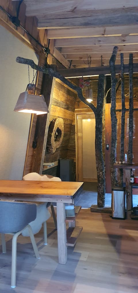 Top performing Airbnb: Land of Volcanoes, Cabin 2 Morchela in Panguipulli