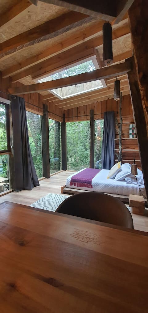 Top performing Airbnb: Land of Volcanoes, Cabin 2 Morchela in Panguipulli