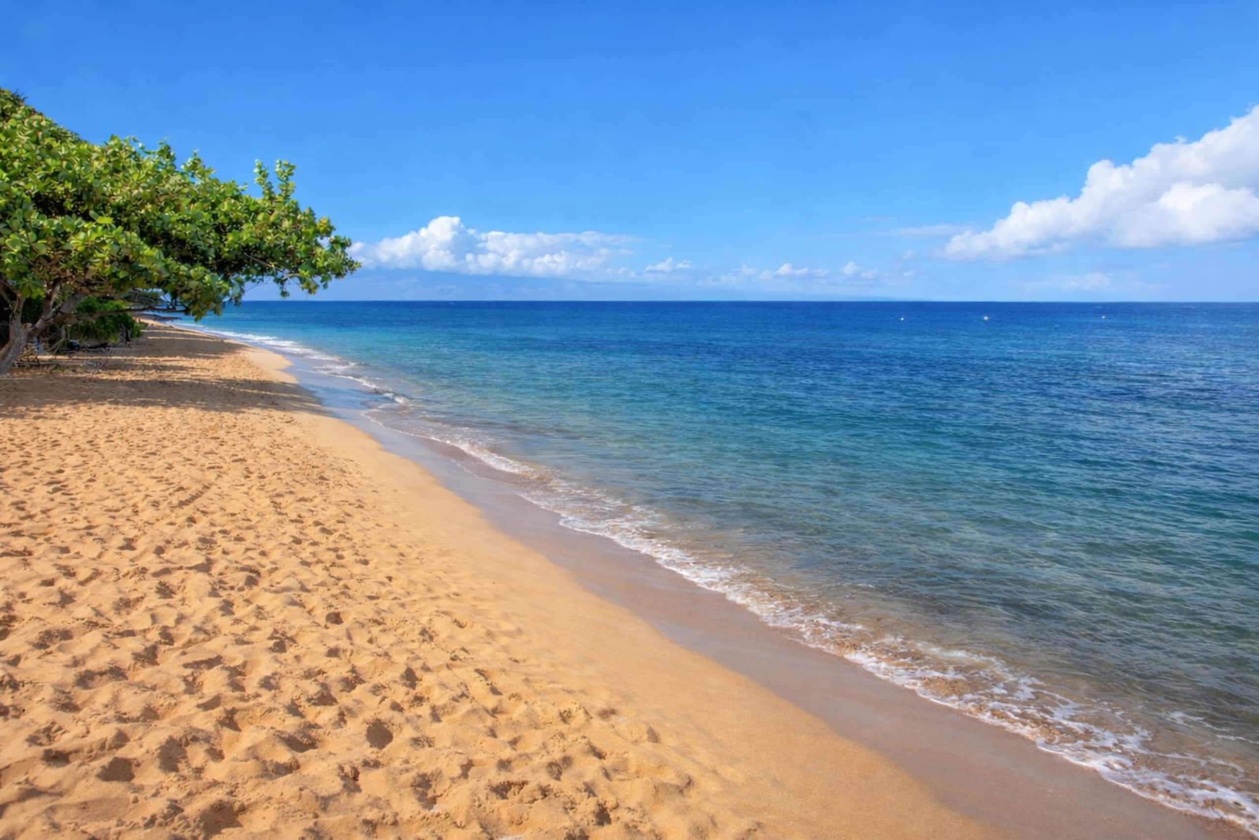 Condo in Lahaina · ★5.0 · 2 bedrooms · 4 beds · 2 baths - Image 49