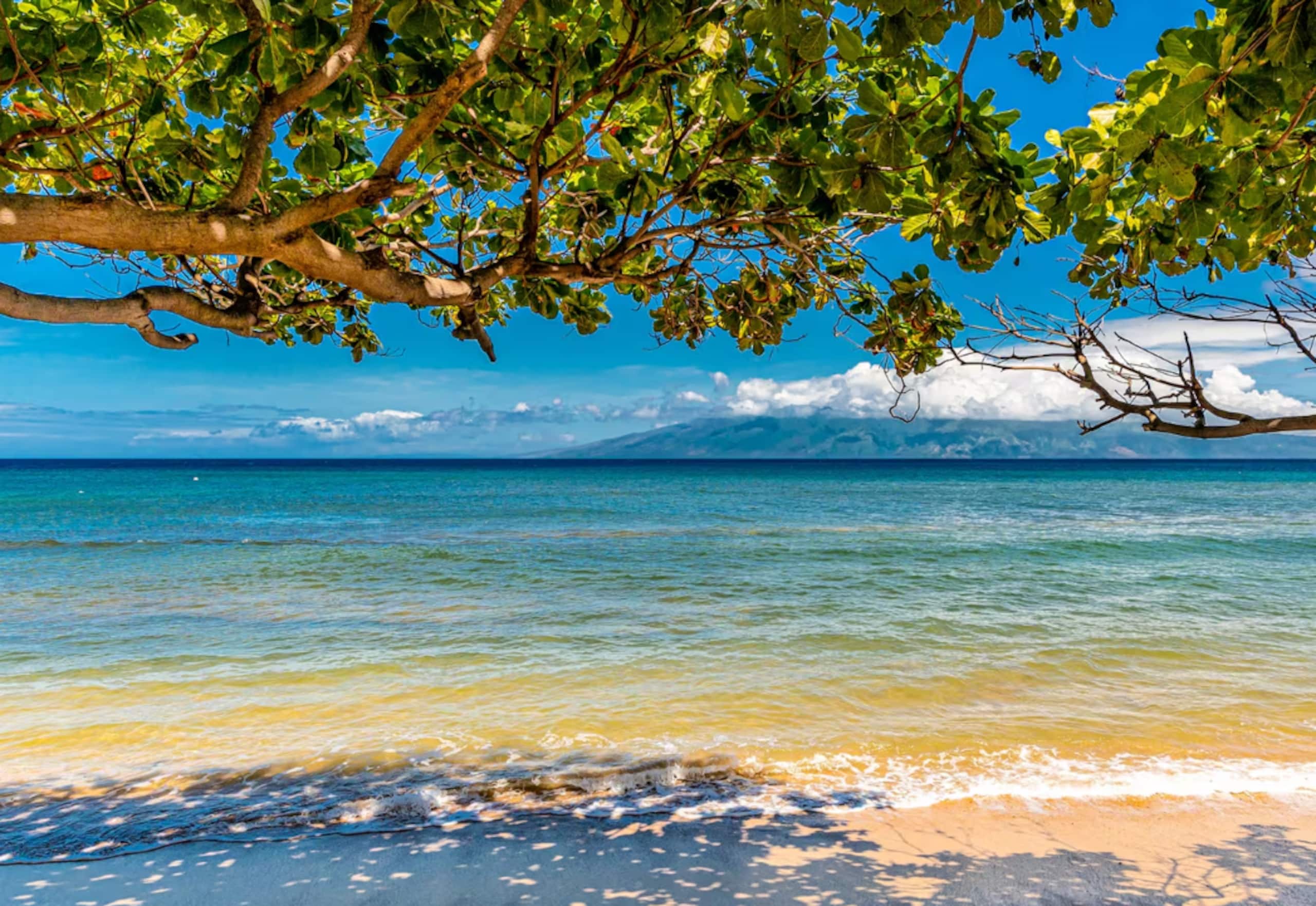 Condo in Lahaina · ★5.0 · 2 bedrooms · 4 beds · 2 baths - Image 50
