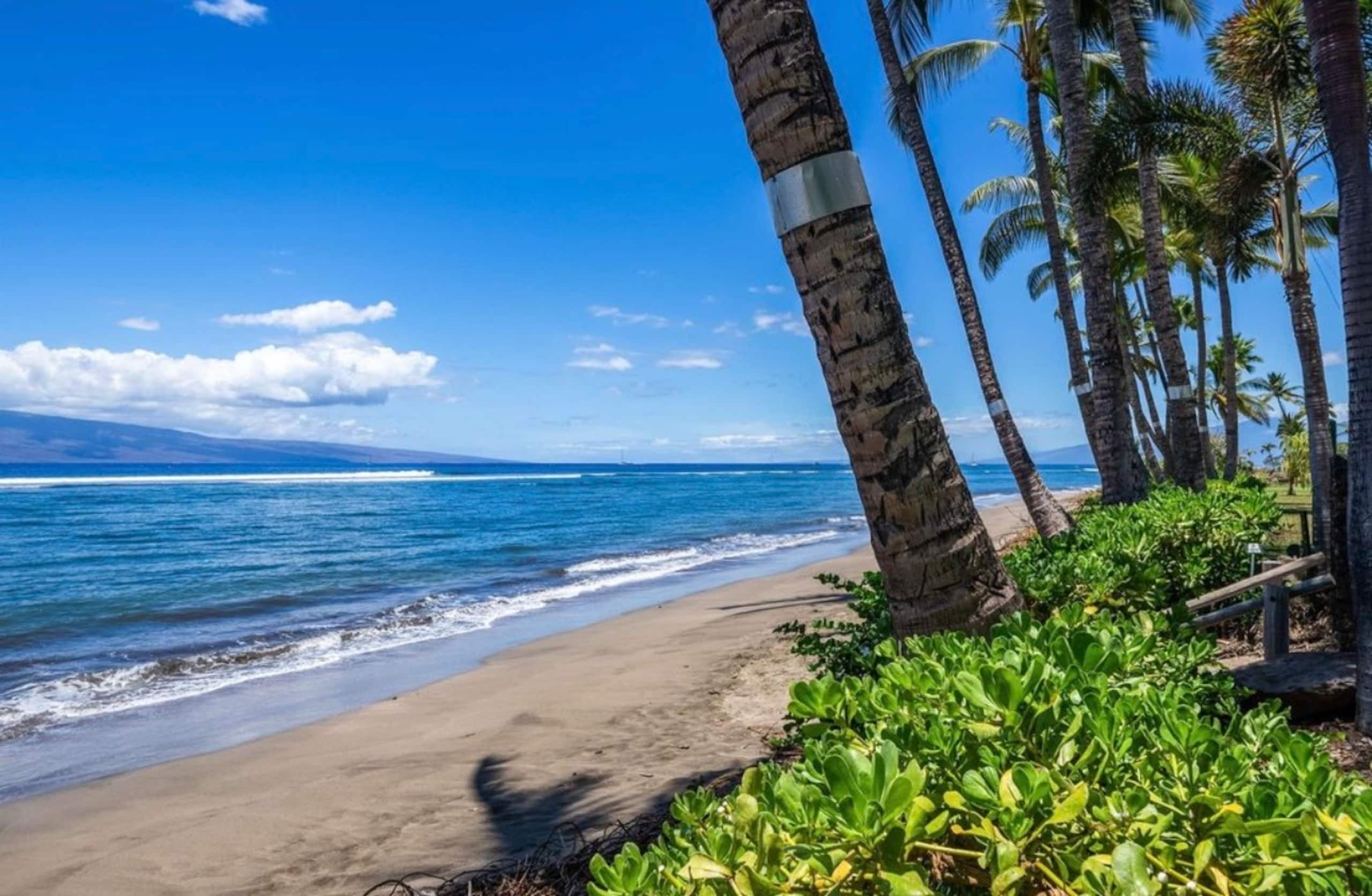 LahainaShoresBeachfrontPanoramic Endless OceanView - Image 24