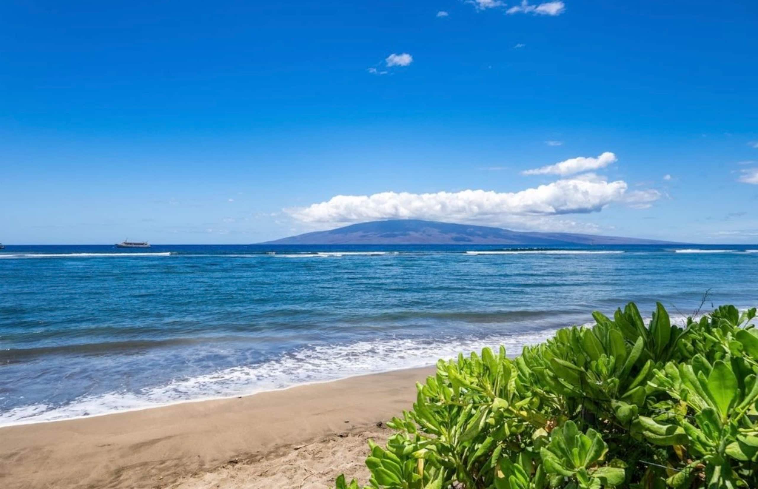 LahainaShoresBeachfrontPanoramic Endless OceanView - Image 27