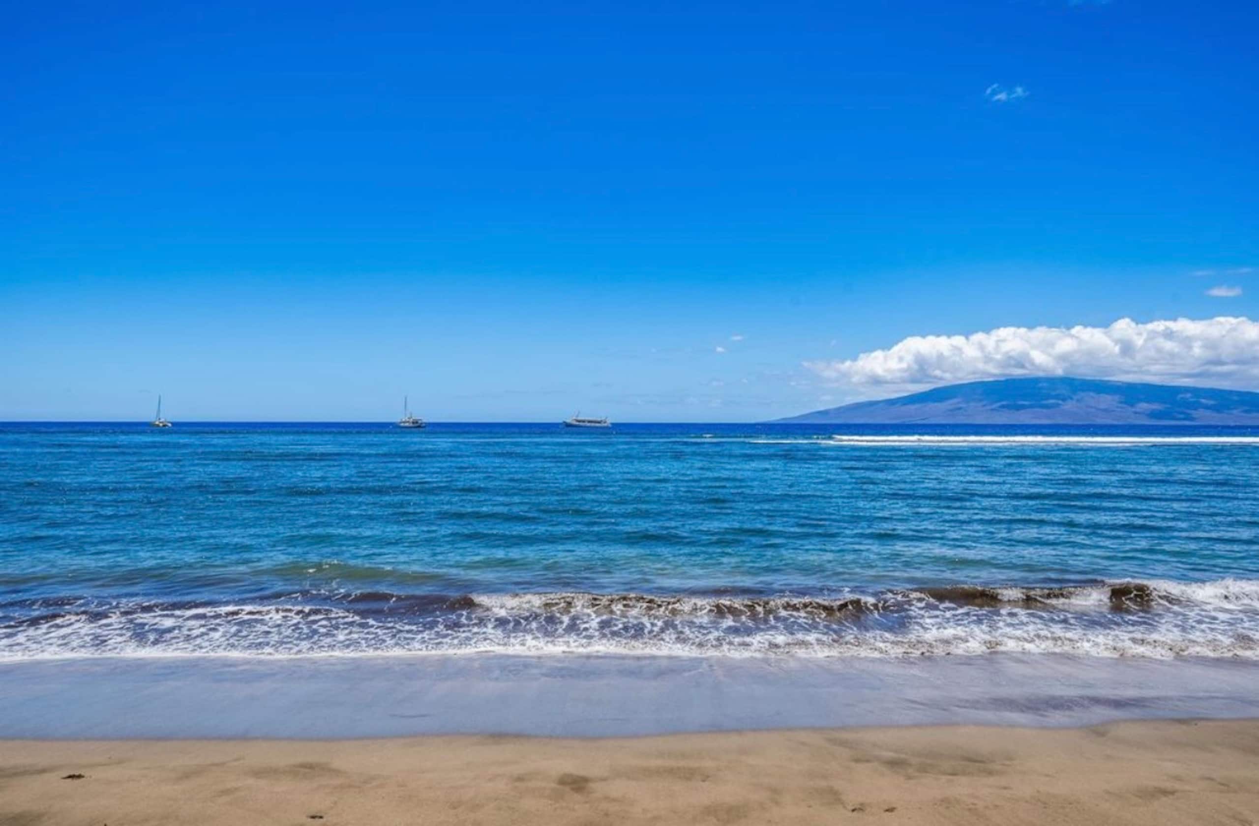 LahainaShoresBeachfrontPanoramic Endless OceanView - Image 10
