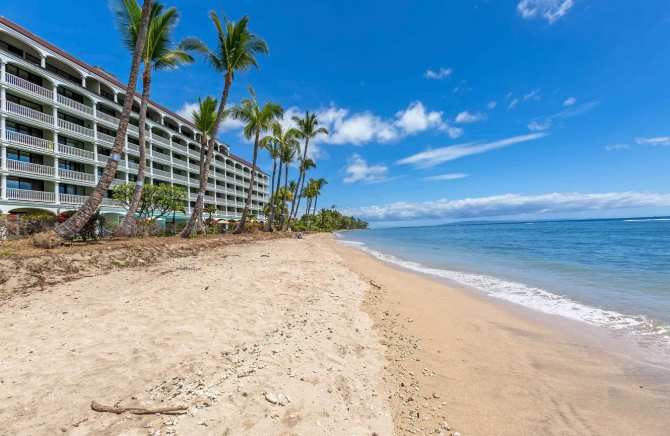 LahainaShoresBeachfrontPanoramic Endless OceanView - Image 21