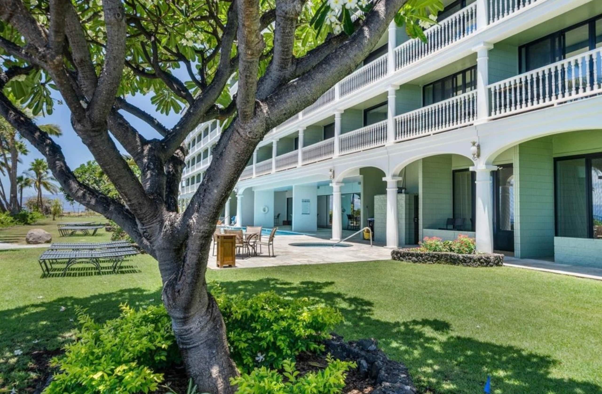 LahainaShoresBeachfrontPanoramic Endless OceanView - Image 26