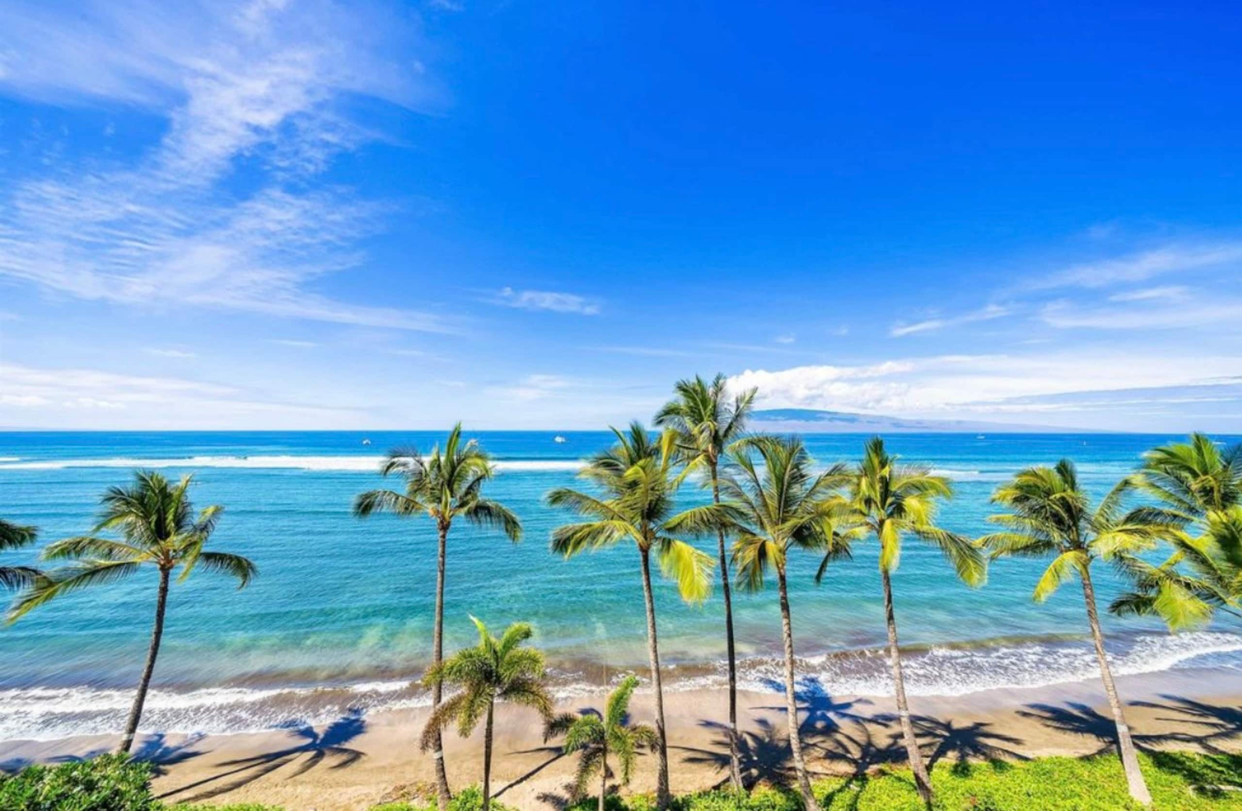 LahainaShoresBeachfrontPanoramic Endless OceanView - Image 11