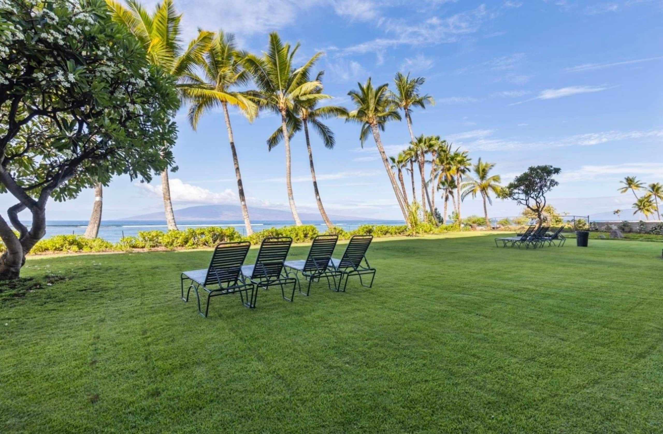 LahainaShoresBeachfrontPanoramic Endless OceanView - Image 16