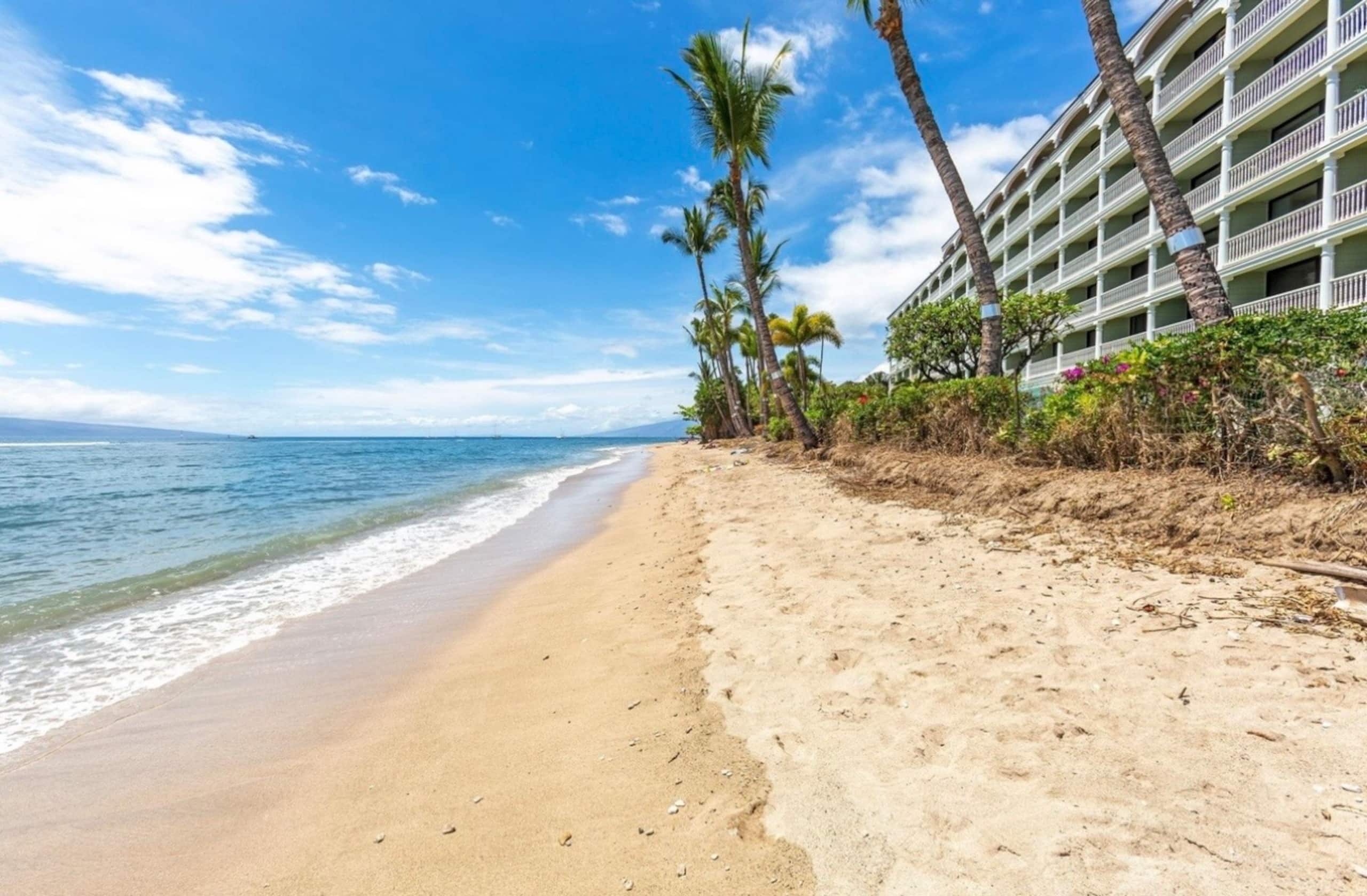 LahainaShoresBeachfrontPanoramic Endless OceanView - Image 22