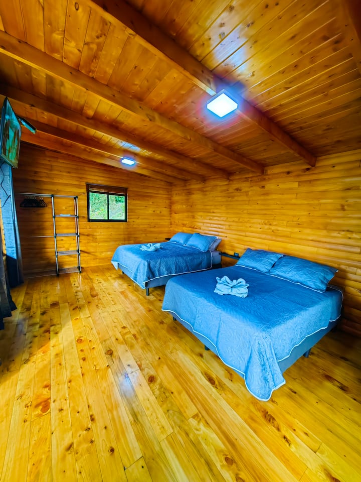 Habitación