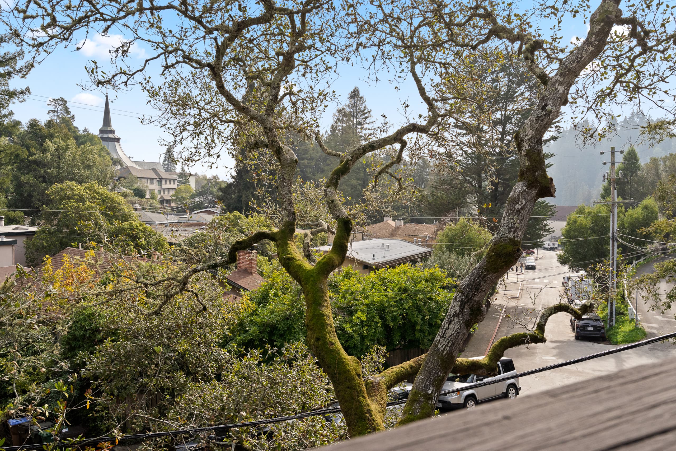 Luxe Treehouse Apt•Walk to Town•King Bed•Sleeps 4 - Photo 18