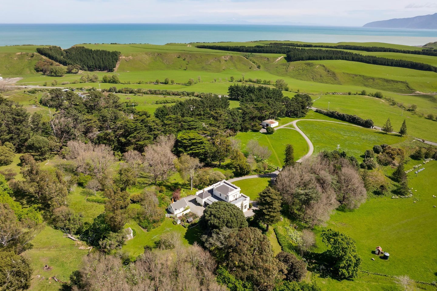 The Cottage Whangaimoana 3