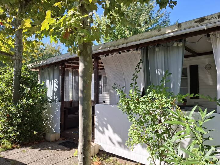 Au Bord Du Lac De Biscarrosse - Biscarrosse