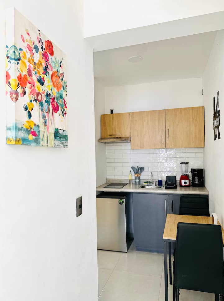 Loft Aguascalientes Zona Centro - Loft 9 - Aguascalientes