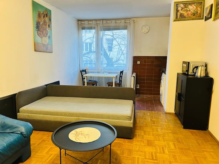 San Apartment In Vienna City - Vienna