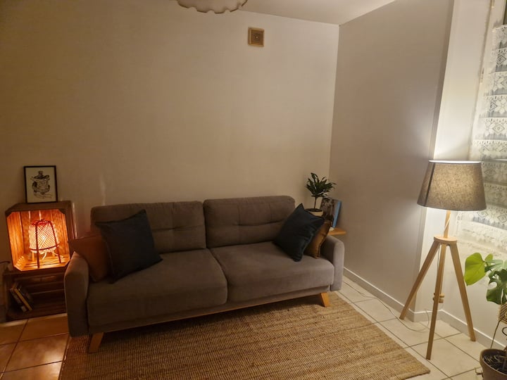 1 Bedroom Apartment Near Town Centre And Chu. - Angers