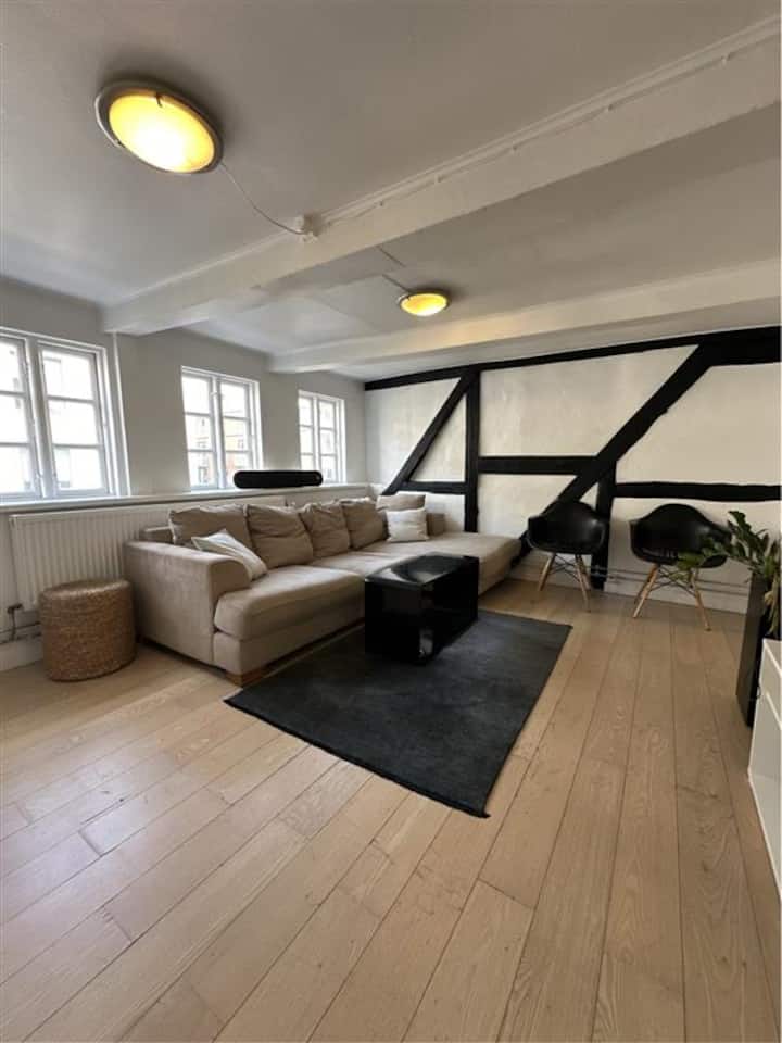 Tre Etagers Lejlighed I Indre By (København K) - 哥本哈根