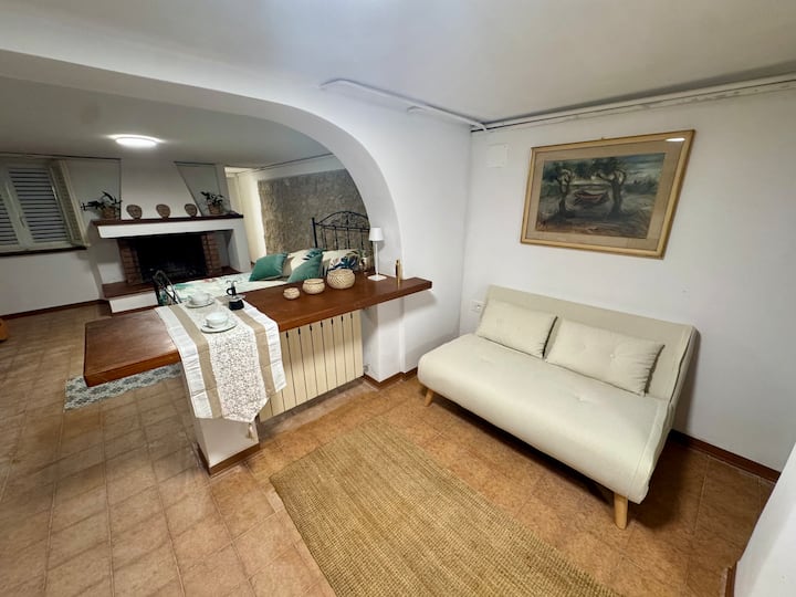 Bilocale Rinnovato Marco Polo, Pineta E Mare A/c - Viareggio