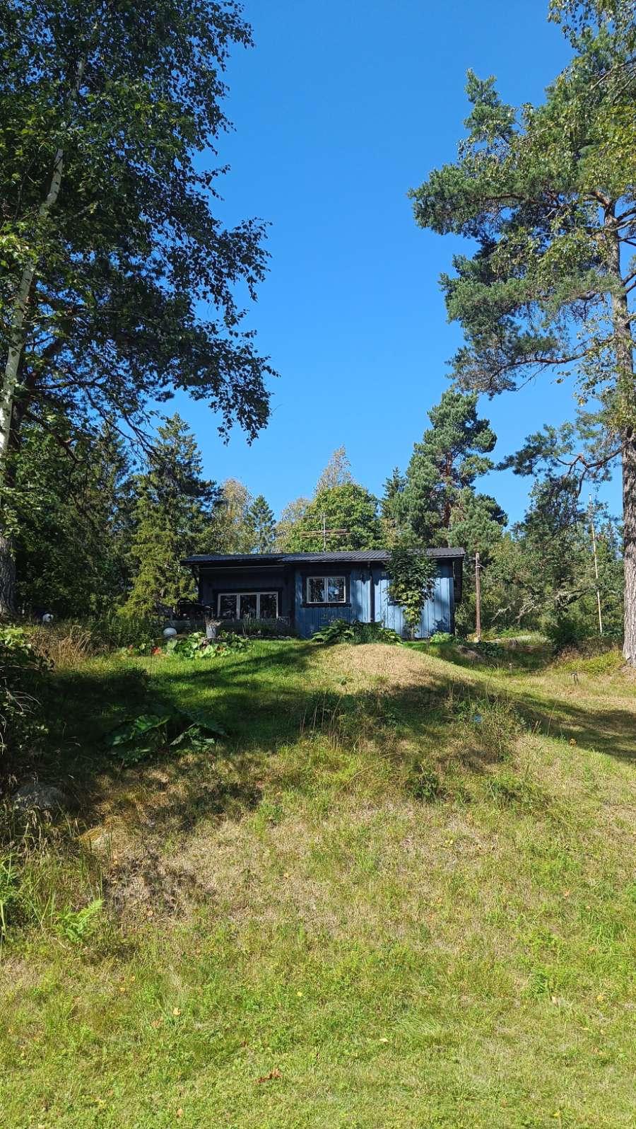The blue house on the hill