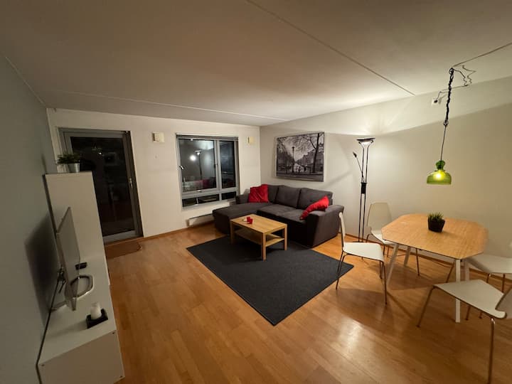 Leilighet Med 1 Soverom + Sovesofa. Garasjeplass - Oslo