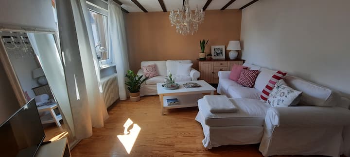 Charmante Wohnung Nahe Heidelberg, Parkplatz&wlan - Bammental