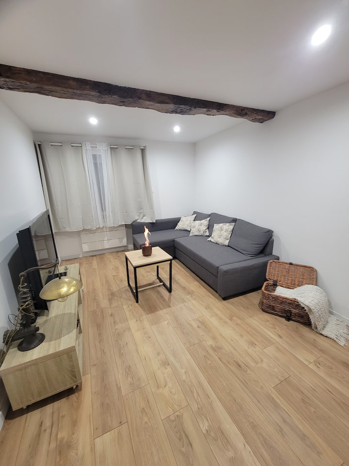 Maison Moderne + Cinéma Privée Au Cœur De L'ariège - Mirepoix