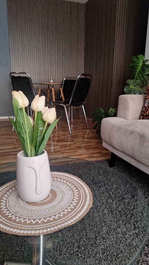 Popular Airbnb listing: Apartment near the Center in Curicó