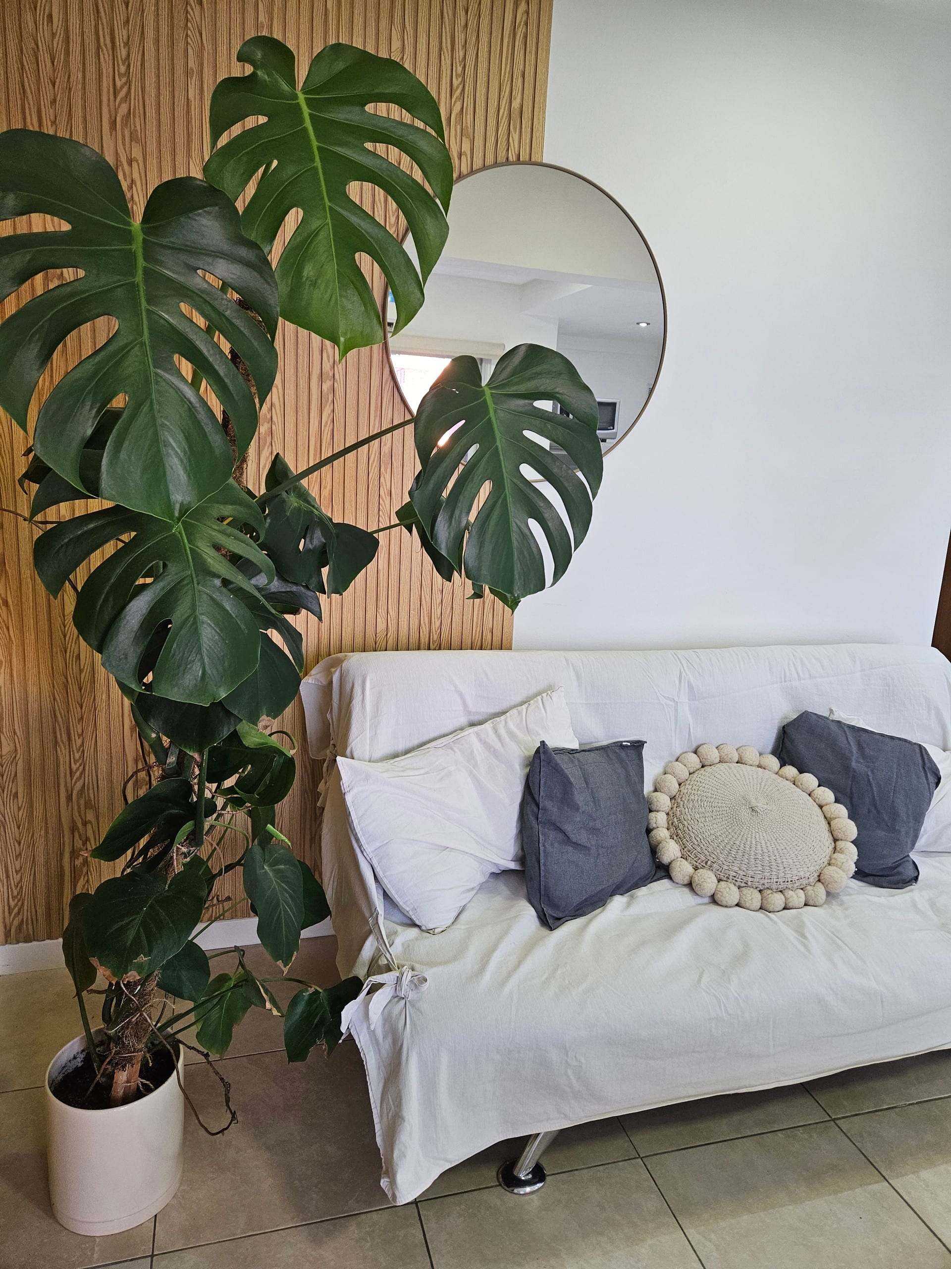 Two-room apartment in Flores