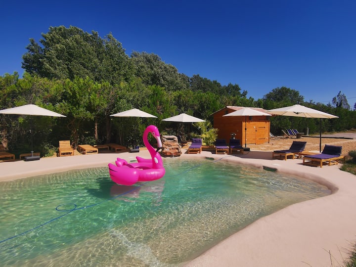 Villa Provençale 14p -Piscine Lagon-détente-nature - Mallemort