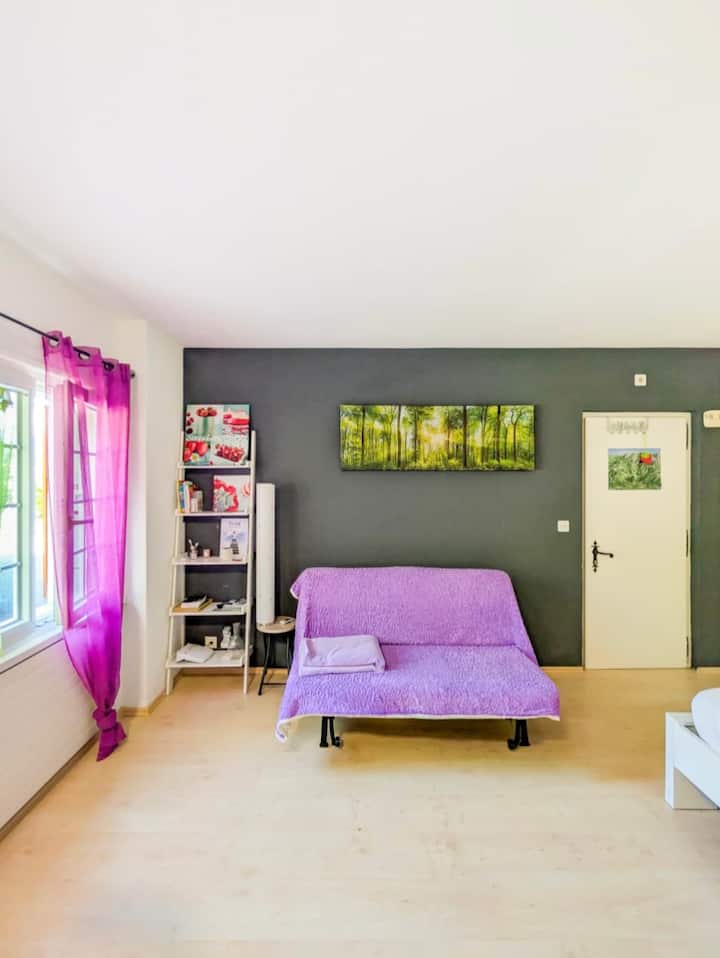 Calme Et Chaleureux Studio En Bord De Forêt - Villars-sur-Ollon