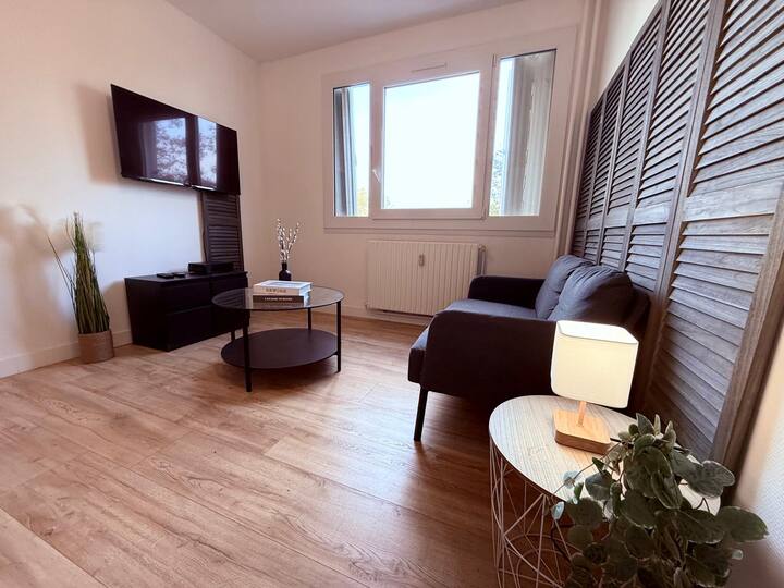 Athena - 2 Chambres - Proche Tête D’or - ibis budget Lyon Villeurbanne