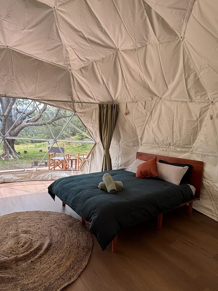 Glamping At The Bowery Dome Around An Ancient Tree - Kangaroo Valley