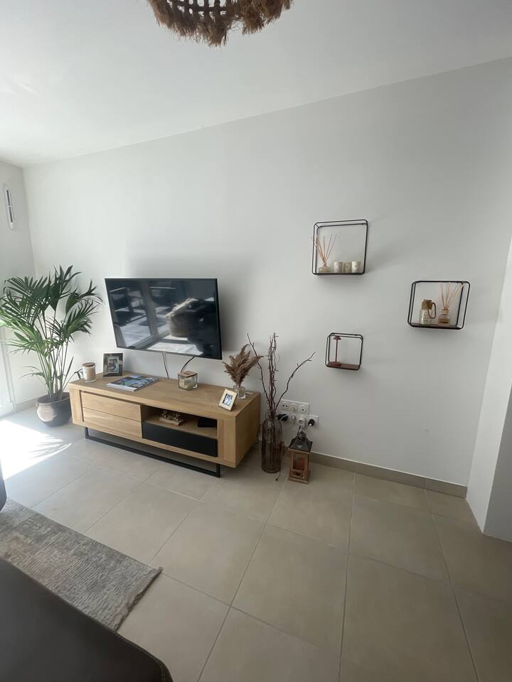 Appartement Rdc Avec Jardin - Castelnau-le-Lez