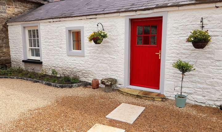 Clondeglass Country Cottage - County Offaly