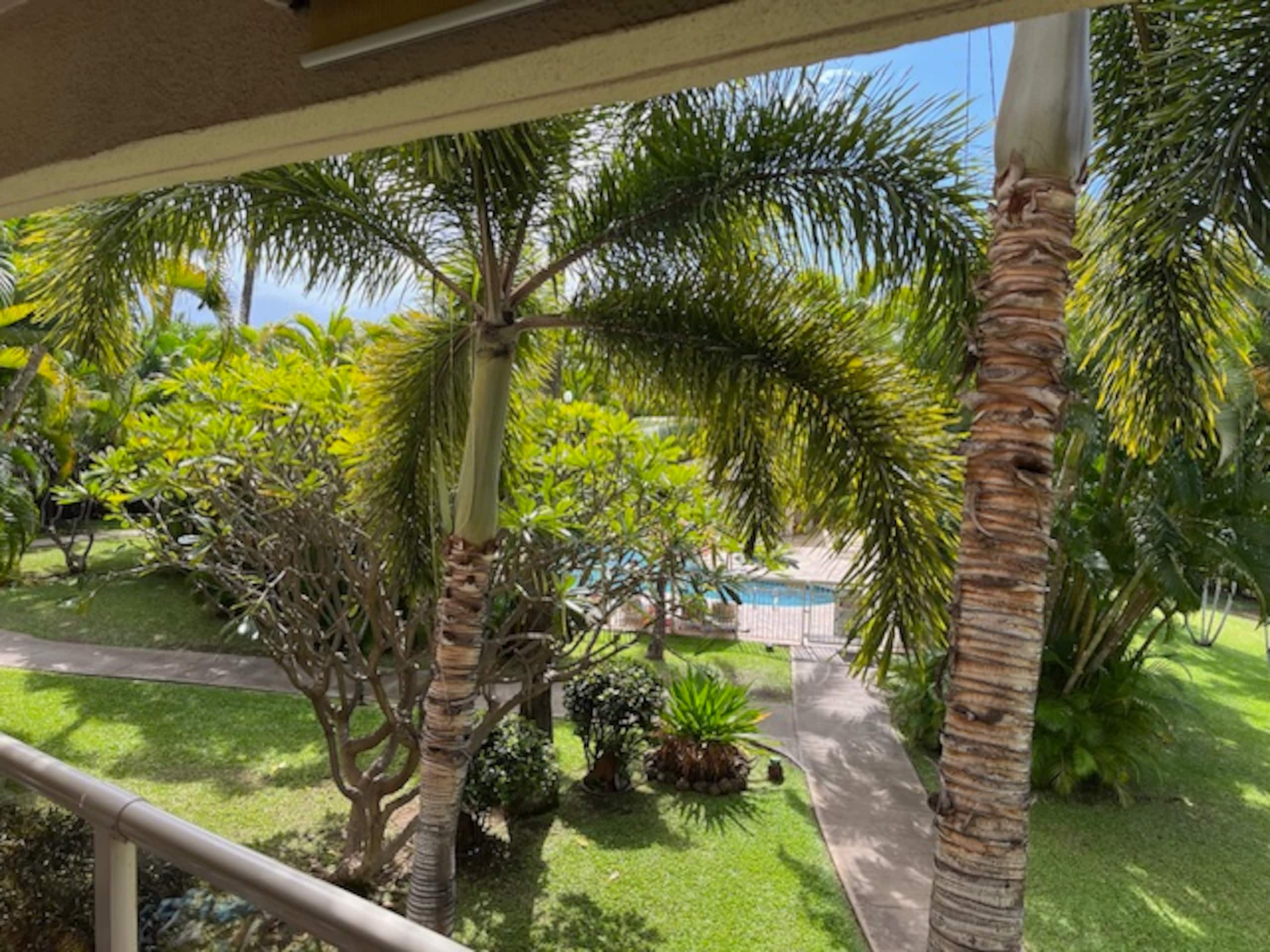 Maui Kihei One Bedroom - Steps from Ocean & Beach - Image 12