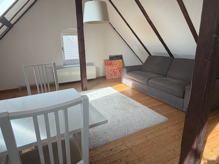 Gemütliche Dg-wohnung In Lehrte - Lehrte