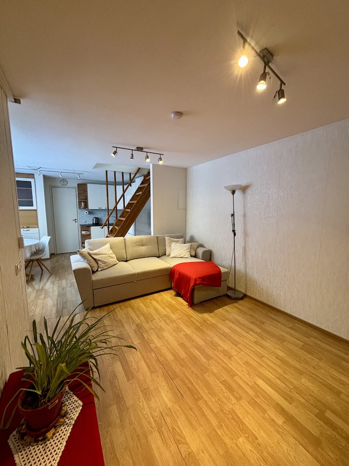 Cozy Apartment In A Great Location In Tallinn - Tallinn