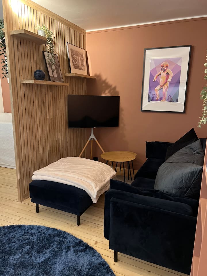 Leilighet Med 2 Soverom, Sovealkove Og Parkering - Oslo