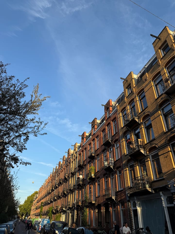 Bright Apartment & South Facing Balcony In De Pijp - Amsterdam