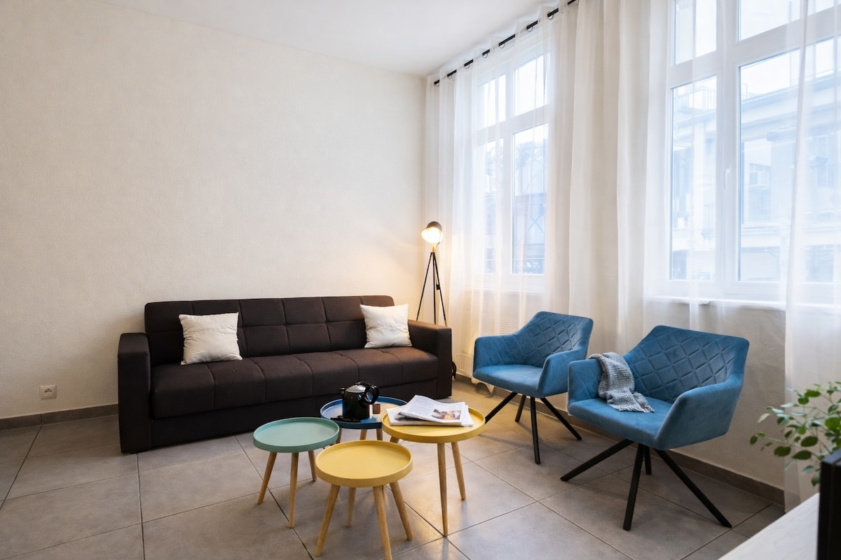 Top performing Airbnb: Central Brussels Spacious 2BR near Grand Place#2 in Quartier Du Centre Centrumwijk