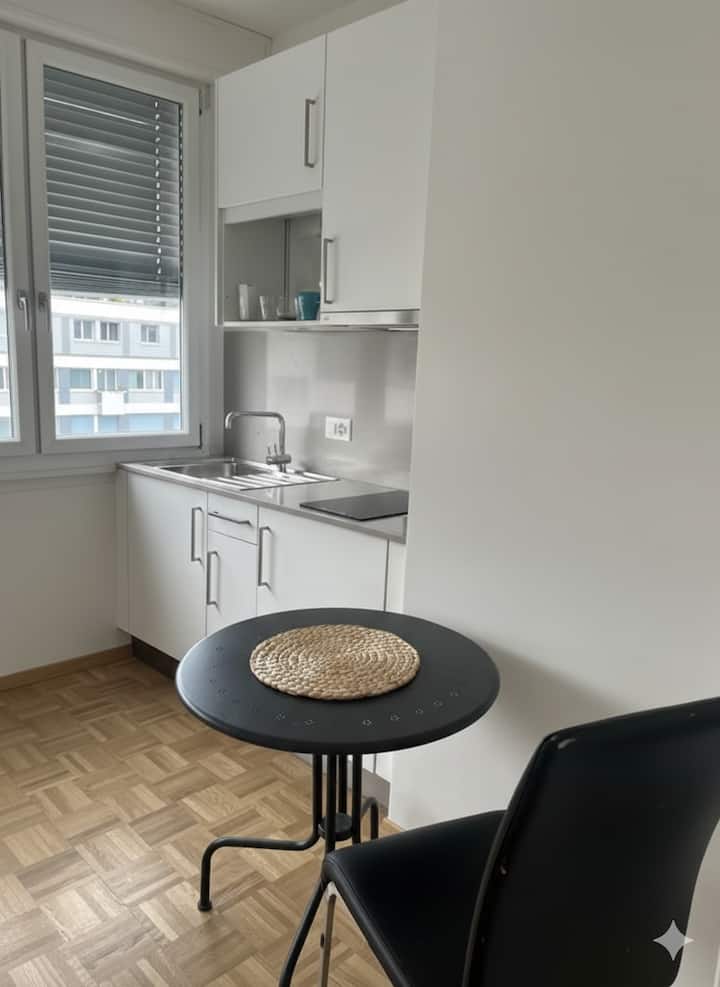 Appartement Pratique - Genf