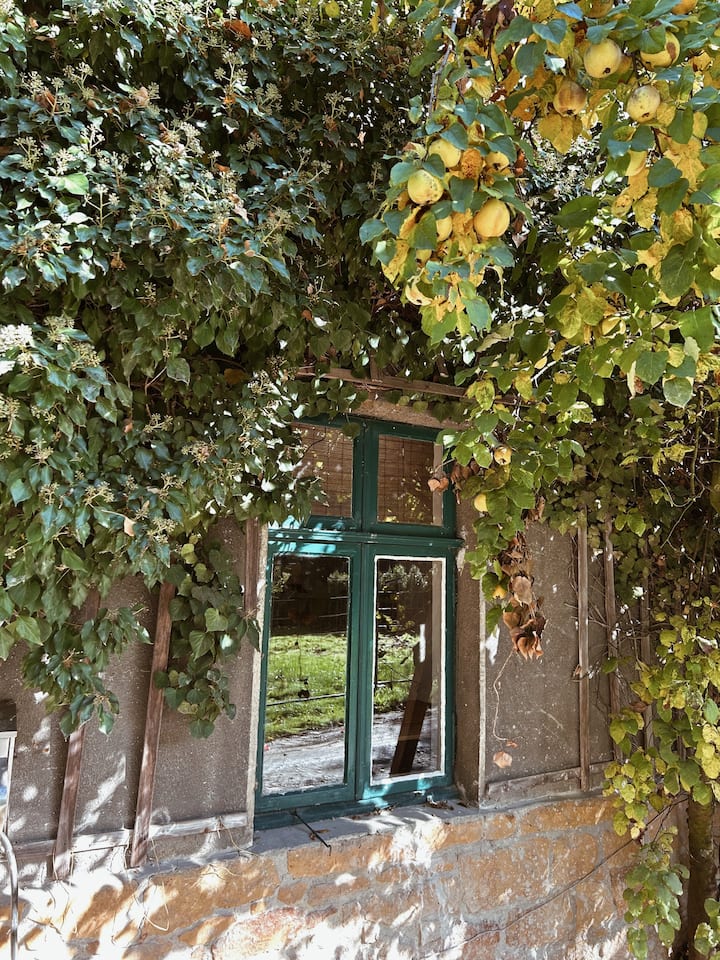 Entspannung Im Forsthaus - Bielefeld