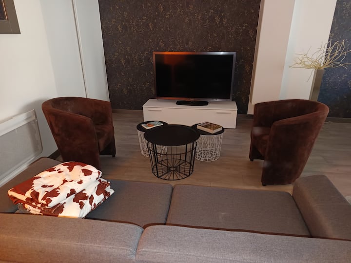 Grand Appartement Plein Centre, Idéalement Situé - Jura