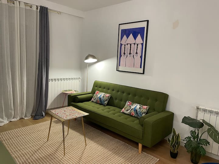 Centro En Plaza Easo Bello Apartamento Con Terraza - San Sebastián