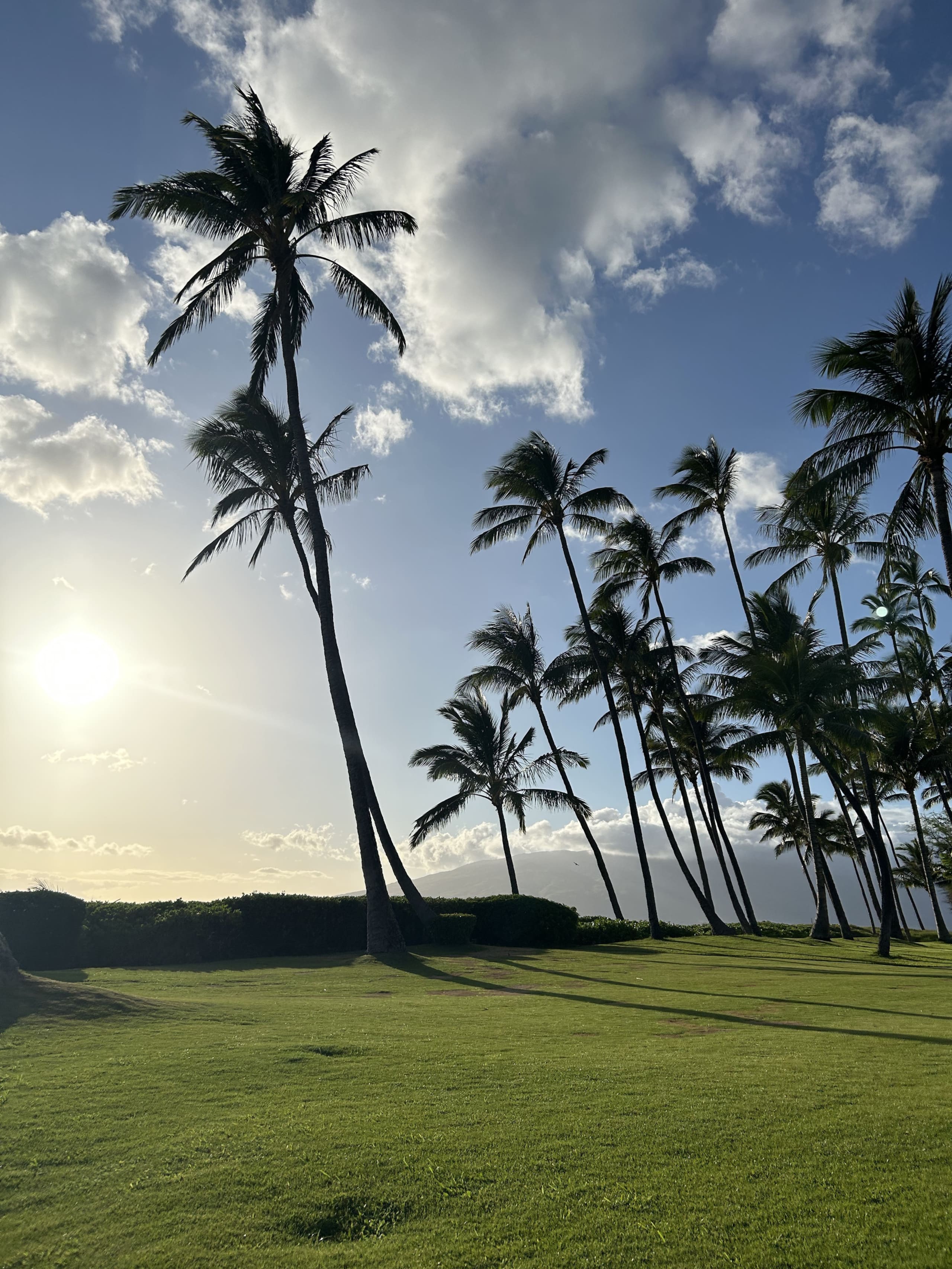 Condo in Kihei · ★5.0 · 2 bedrooms · 3 beds · 2 private baths - Image 31