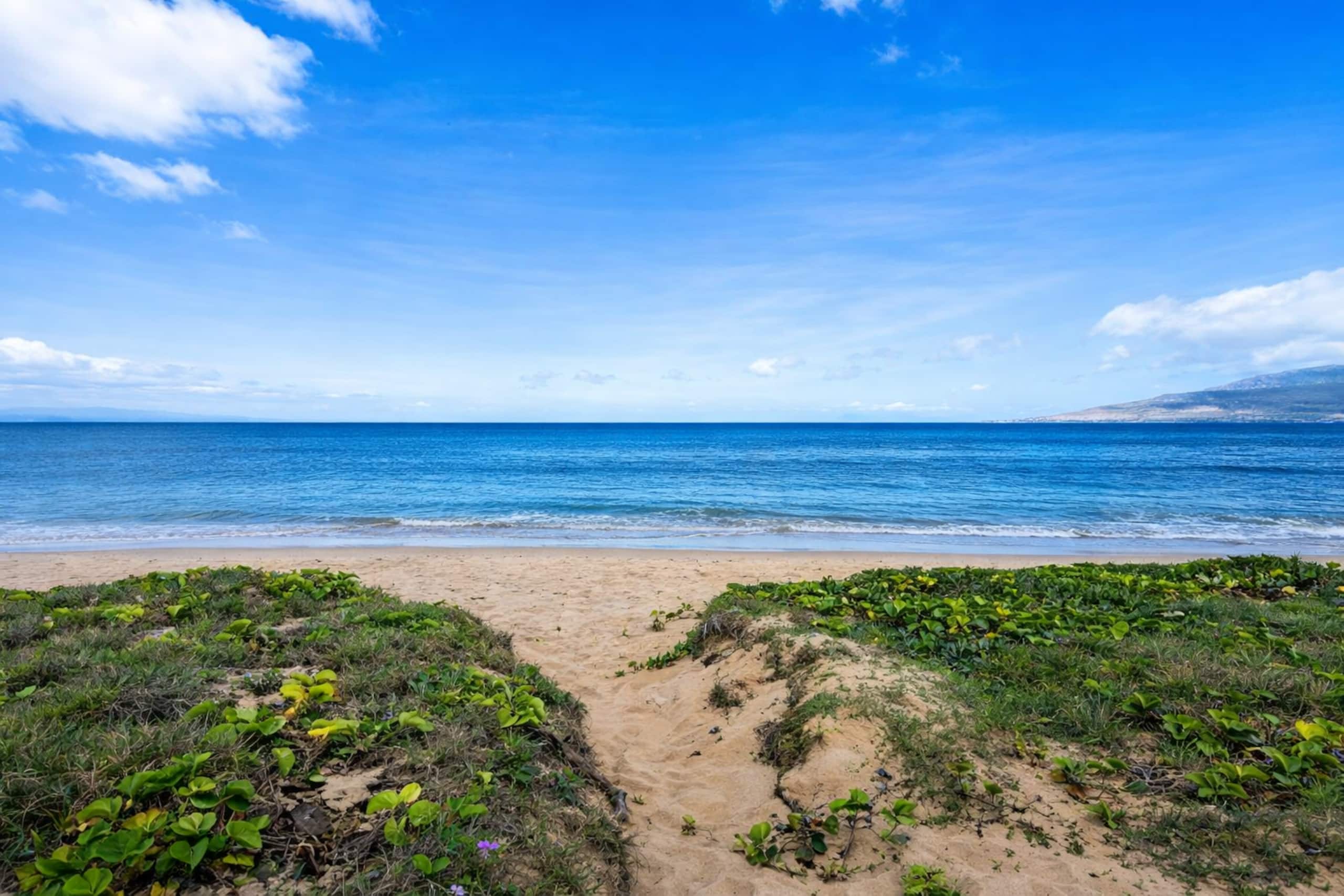 Condo in Kihei · ★5.0 · 2 bedrooms · 3 beds · 2 private baths - Image 33