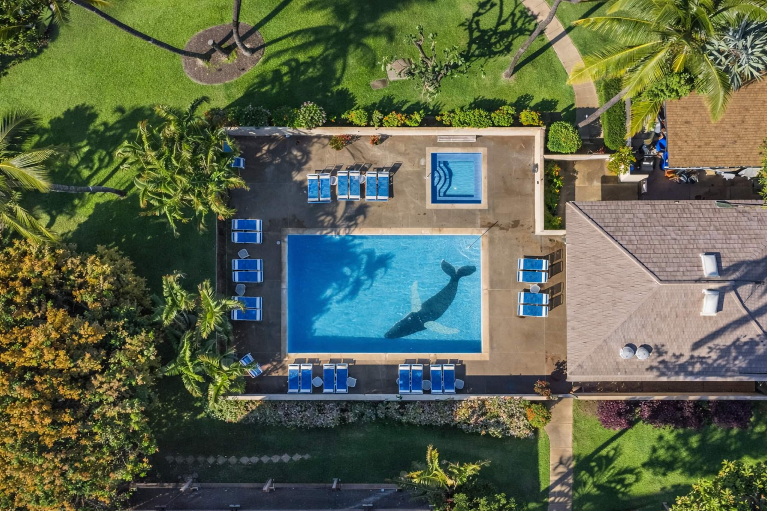 Condo in Kihei · ★5.0 · 2 bedrooms · 3 beds · 2 private baths - Image 26