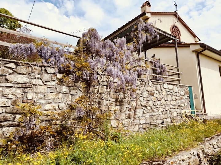 Casa Alby. Appartamento Nella Natura - Barberino di Mugello