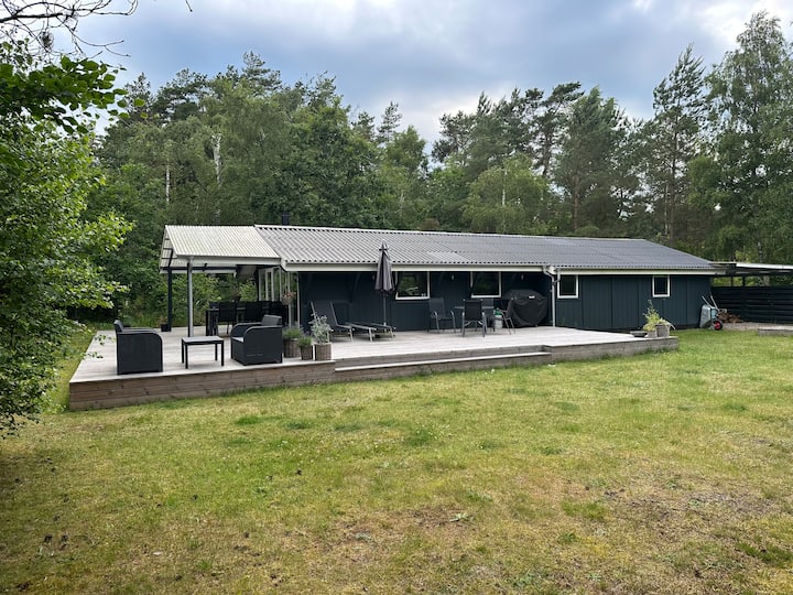 Sommerhus I Vidjeparken I Skoven Og Tæt På Vandet. - Danimarca