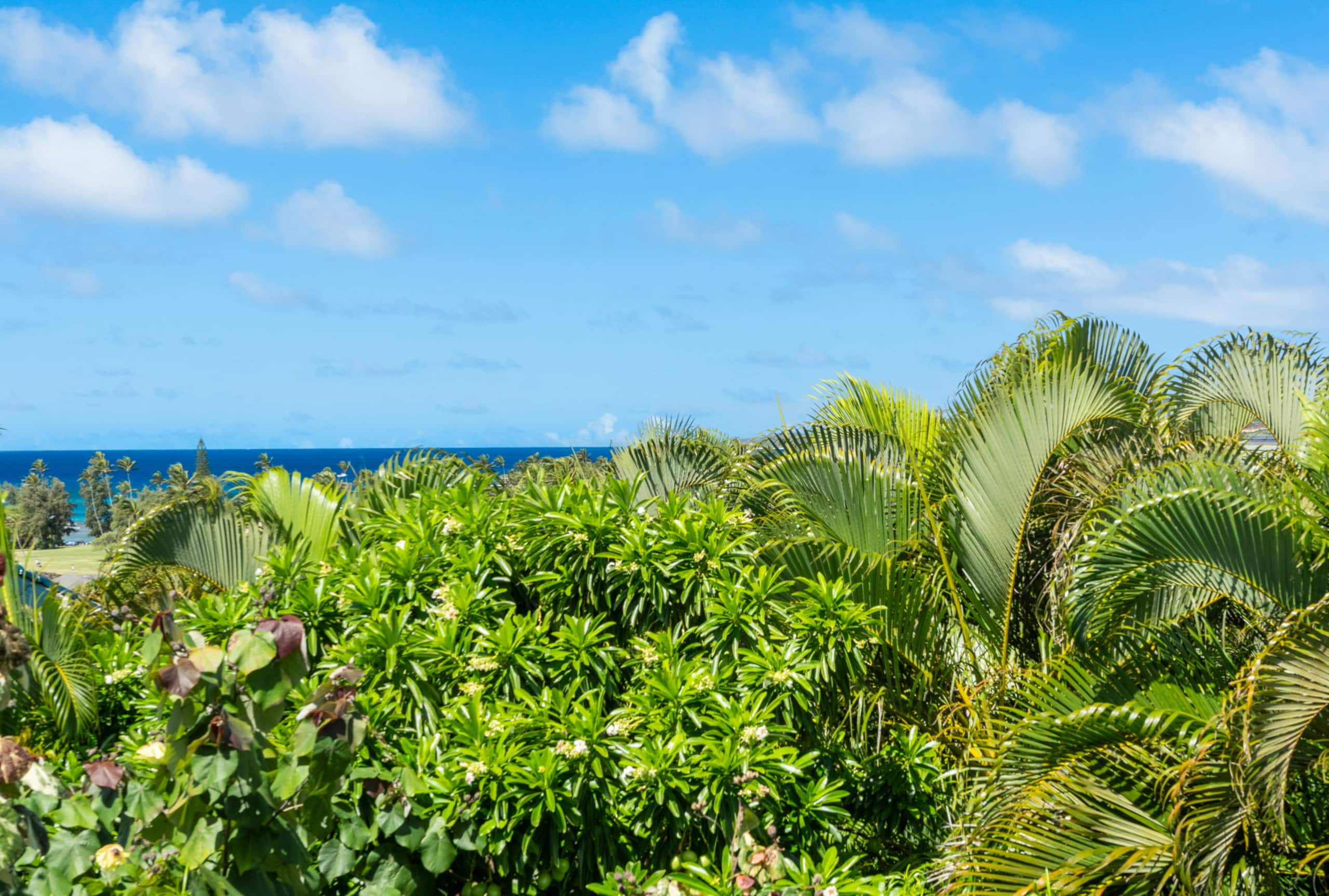 Home in Poipu · ★5.0 · 4 bedrooms · 6 beds · 3 private baths - Image 45